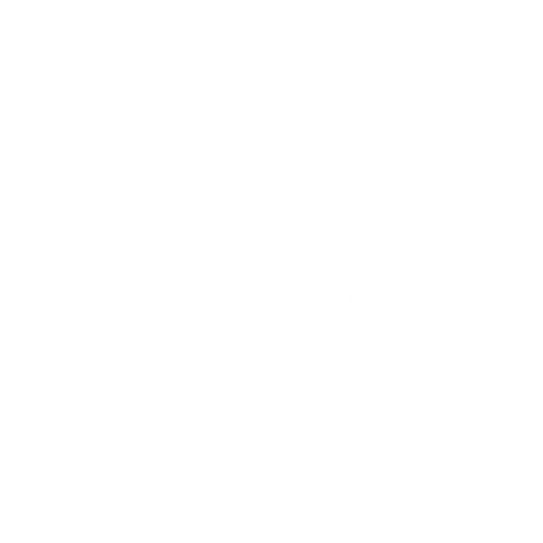 OpenVPMS
