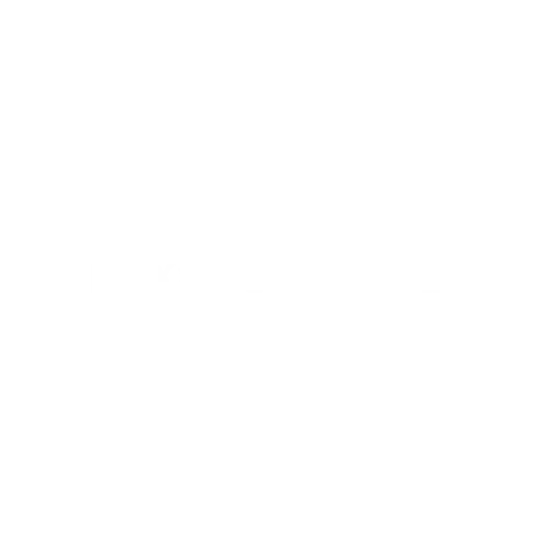 IDEXX VetMedStat