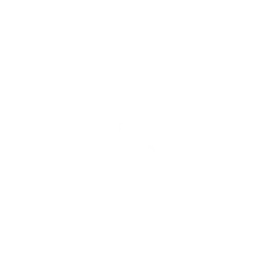 Insight