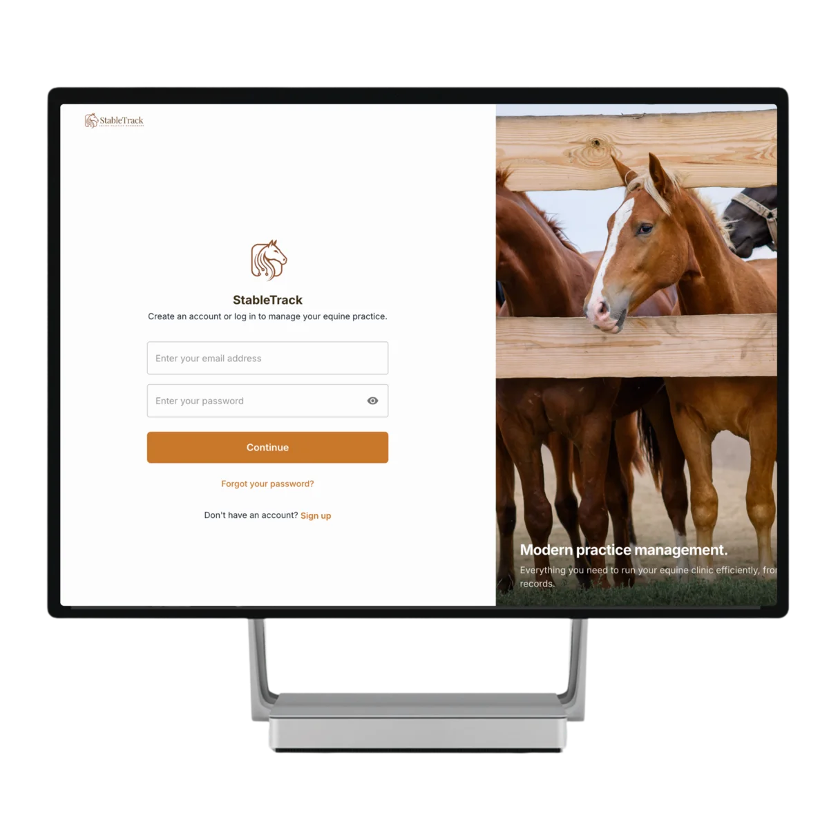 StableTrack running on a monitor