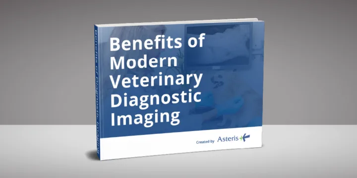 Benefits of Modern Veterinary Diagnostic Imaging