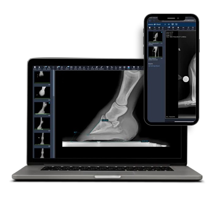 Manage your Images Interface