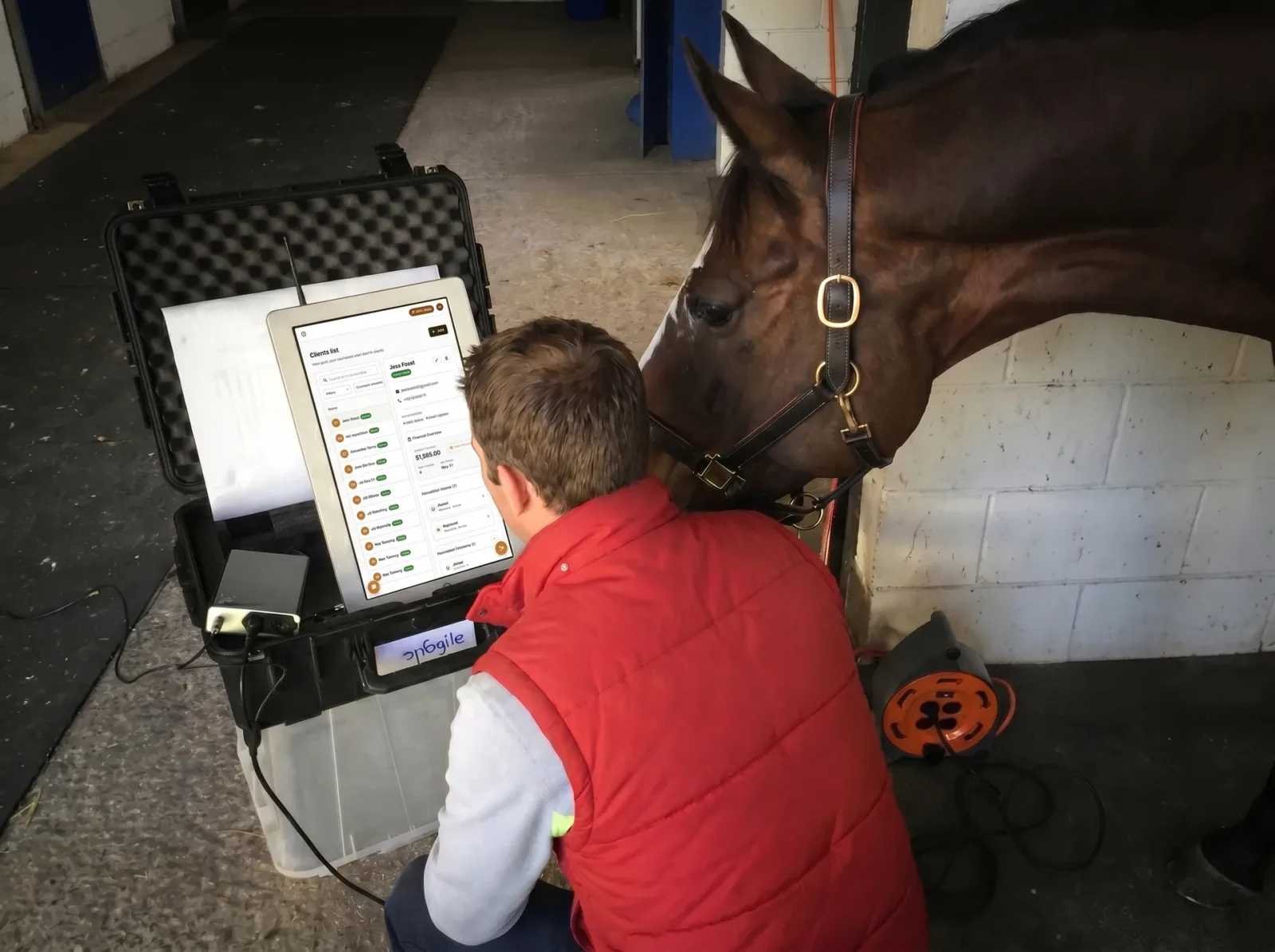 Equine veterinarian working on a laptop in a stable