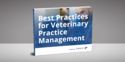 best practices for veterinary practice management