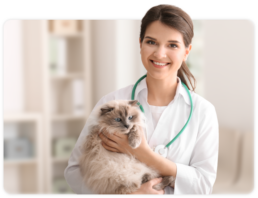 veterinary doctor with cat
