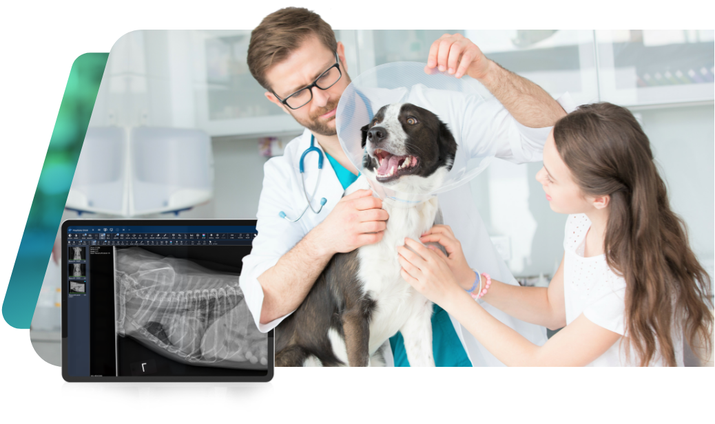 Vet Diagnostic Imaging Systems for Companion Animals | Asteris