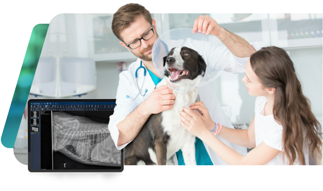 Vet Diagnostic Imaging Systems for Companion Animals | Asteris Vet Diagnostic Imaging Systems for Companion Animals | Asteris