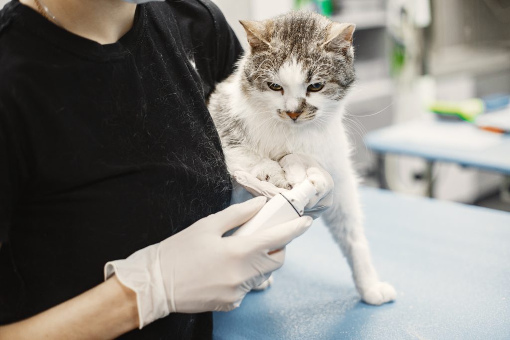 Vet information management software