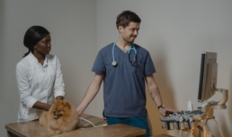 Vet information management software