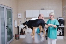 Choose the Right Veterinary PACS Solution