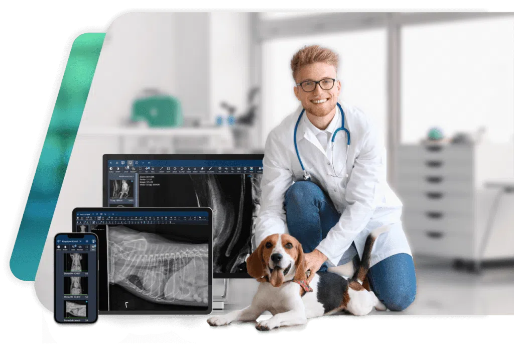 Home - Inland Empire Veterinary Imaging: Veterinary Clinic