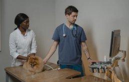 pet imaging software tips and training