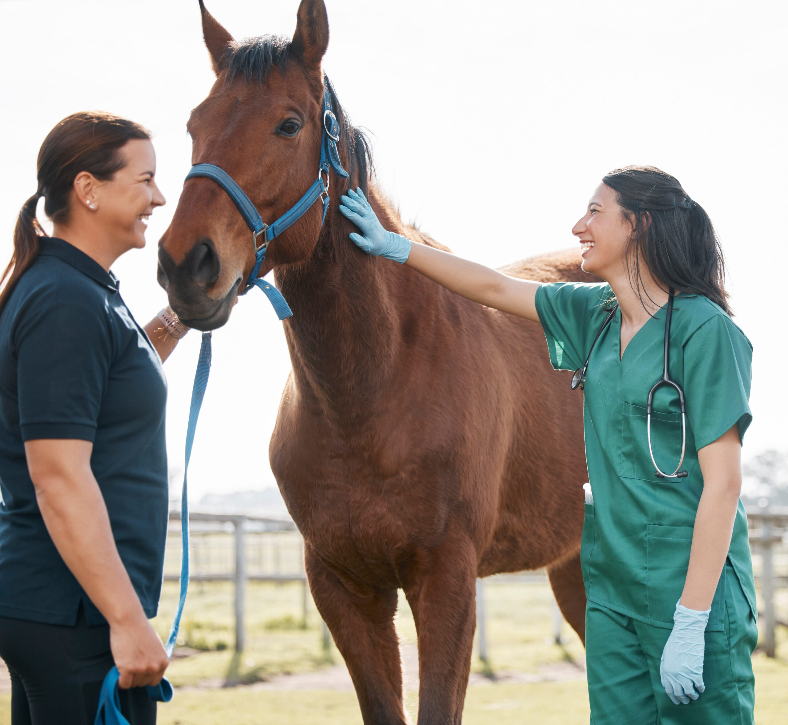 Veterinarian standing confidently in a clinic setting