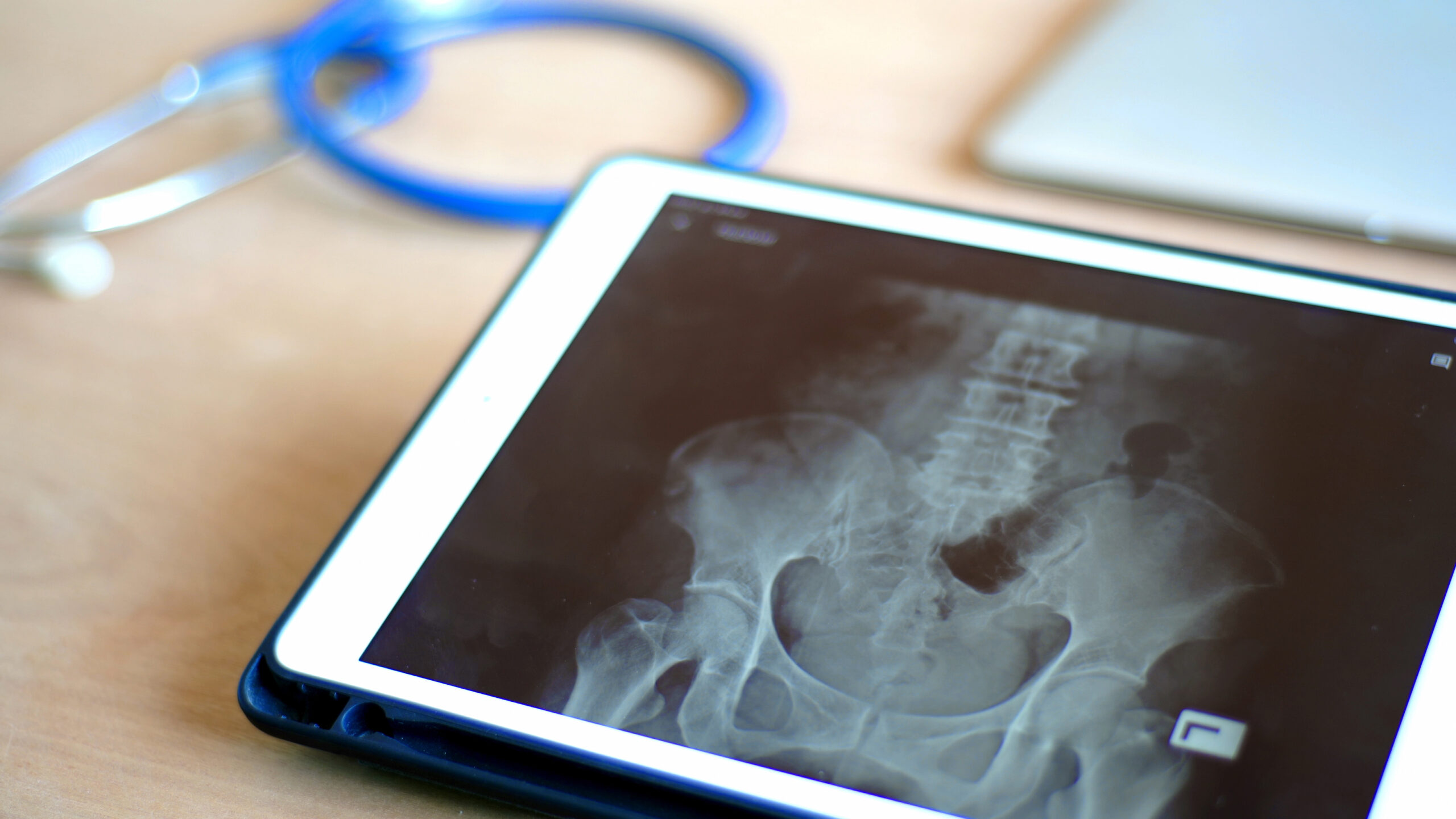 Veterinarian viewing a DICOM X-ray on a device
