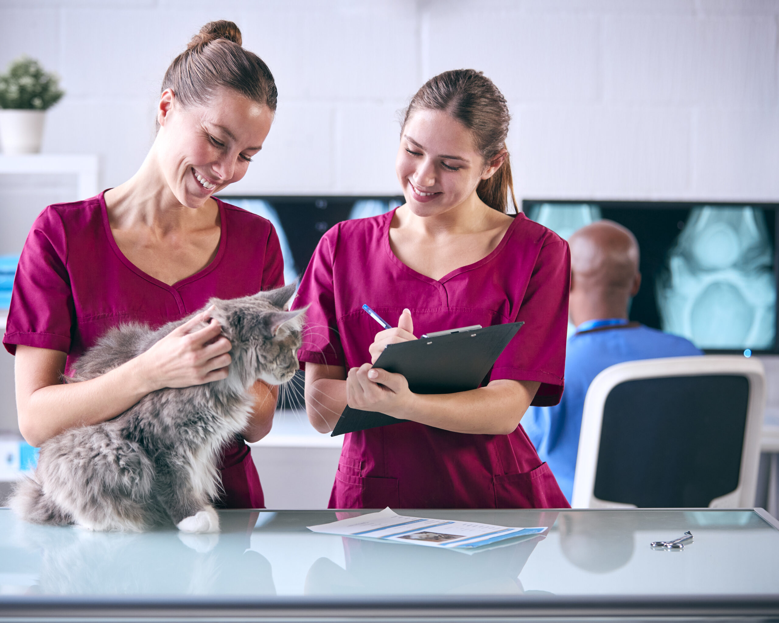 Veterinary team at an imaging workstation