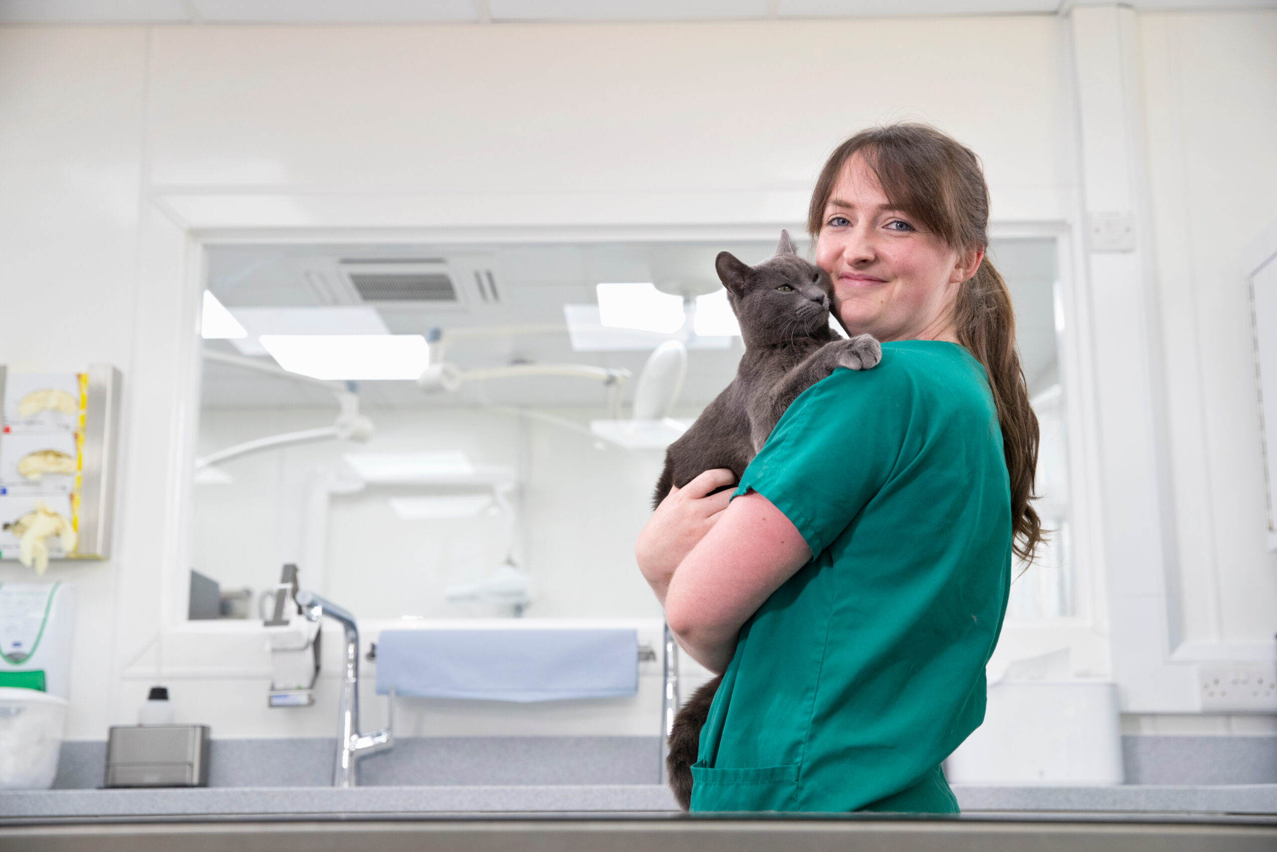 Veterinary nurse supporting a patient during clinical care
