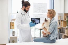 Veterinarian consulting with pet owner in clinic